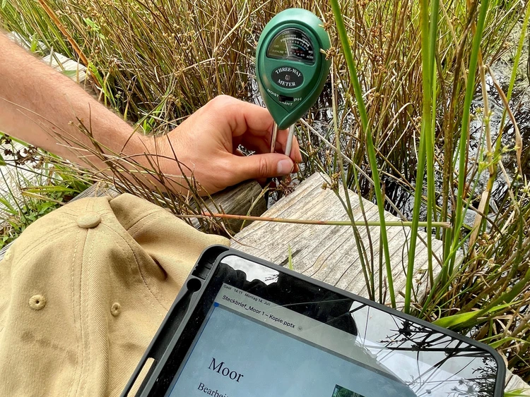 Messinstrument und Tablett im Gras.