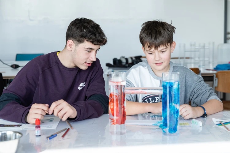 Kinder sitzen im Kreis um ausgelegte Bildkarten und betrachten gemeinsam verschiedene Motive.