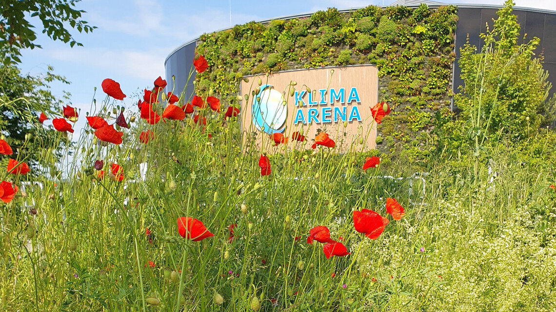 Eine Aussenansicht der Klima Arena mit Blick auf die Logowand und bl&uuml;hendem Klatschmohn